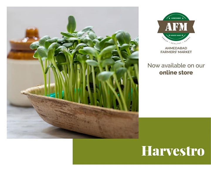 Some incredibly rich and healthy micro greens for you! 

Now available on our online store!

Place your orders on 
estore.ahmedabadfarmersmarket.com

#farmersmarket #afm #ahmedabadfarmersmarket #localmarket #supportlocal #localfoods #homemade #organic #healthy #environment #nature