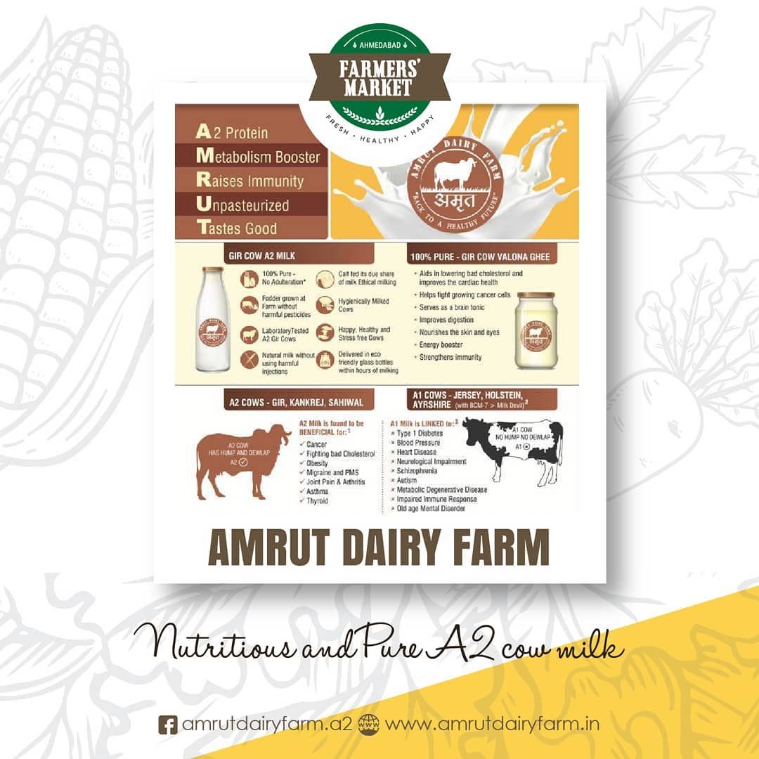 Bring to your homes the health and goodness of pure cow milk! Get the Indian Breed Gir Cow's A2 Milk by Amruta Dairy Farm!
.
.
.
#amrutadairyfarm #cowmilk #healthy #nutritious #farmersmarket #gujarat #freshfood #farmfresh  #fruits #veggies #bakery #grocery #chocolates #vegan #dairy #cheese #bakers #afm #ahmedabadfarmersmarket #localmarket