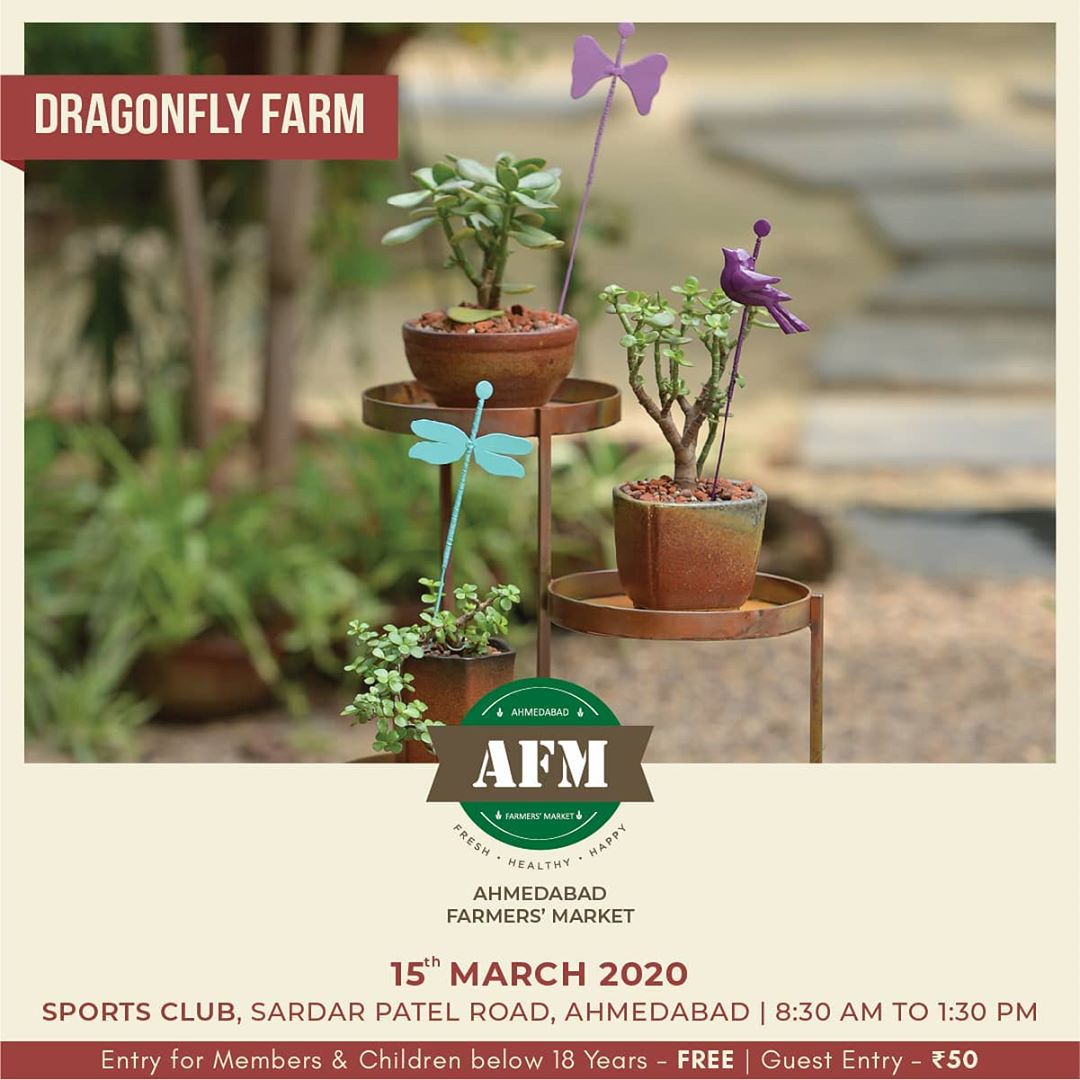 AHMEDABAD FARMERS MARKET 
15th MARCH | 8:30 AM – 1:30 PM | SPORTS CLUB - AHMEDABAD
Explore Bonsais, potted-styled plants and garden accessories by @dragonflyfarmahmedabad
.
.
#dragonflyfarmahmedabad #ahmedabad #wallmountedplanter #plants #gift #homedecor #gardendecor #gardening #loveforgardening #giftaplant #stylishgarden #gardenstyle #wallmounted #indoorgarden #outdoorgarden #workplacedecor #landscapedesigner #vegan  #farmersmarket #afm #ahmedabadfarmersmarket #localmarket #supportlocal #localfoods #homemade #organic #healthy